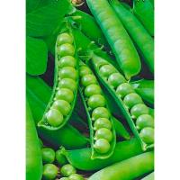 Гавриш Фермерская Горох Сахарная подружка 500 г