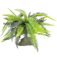 Растение LUCKY REPTILE Bamboo Fern 25см (Германия) IF-101