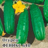 Огурец Феникс 25 г