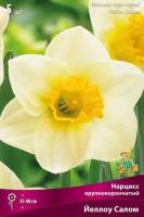 Нарцисс Крупнокорончатый Йеллоу Салом (5шт 12/14) 839497