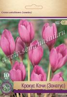 Крокус прекрасный Кочи(Зонатус) (нежный, светло-розовый с жёлтым дном, 10шт, 7/8) 756092