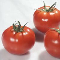 Томат Ралли F1 500 шт