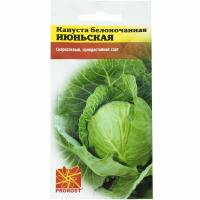 PROROST Капуста белокочанная Июньская 1г