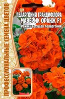 Пеларгония грандифлора Маверик Оранж F1 3шт