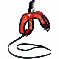 Шлейка+поводок АЭРО №6 обхват груди 27-32см красная/035806/Дарэлл