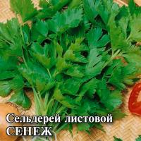 Сельдерей листовой Сенеж 5 г