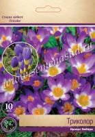 Крокус Зибера Триколор (10шт, 5/+) 756082