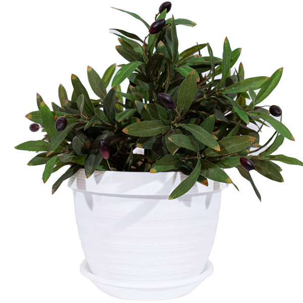 Цветочный горшок Толедо 3л белый с поддоном 5PL0435 Цветочный горшок Толедо 3л белый с поддоном 5PL0435