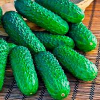 Каприс Фермерская Огурец Герман F1 100 шт
