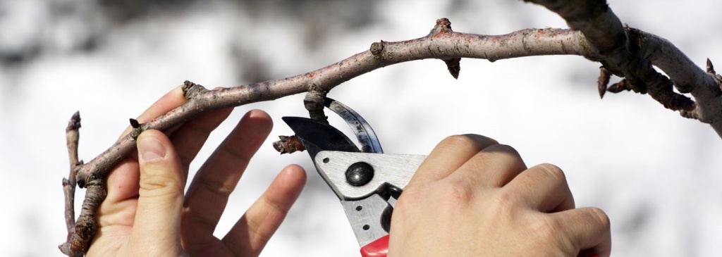 reduce-your-marketing-budget-safely_1440x810.jpg reduce-your-marketing-budget-safely_1440x810.jpg