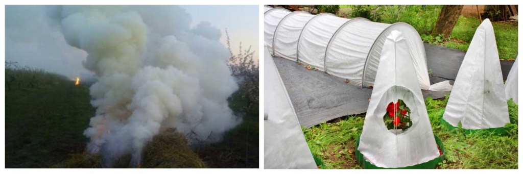 заморозки).jpg заморозки).jpg