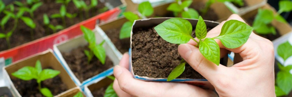 1500x5008.jpg 1500x5008.jpg