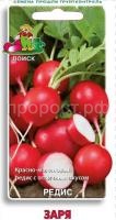 Редис Заря 3 гр
