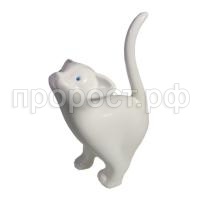 котенок игрив бел котенок игрив бел