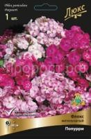 Флокс метельчатый Попурри