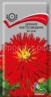 Цинния кактусовидная Бог огня Цинния кактусовидная Бог огня
