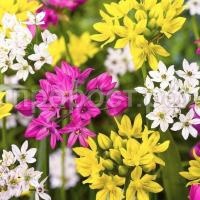 op1ivo0wnyi2ro89iwn30noxp6tibobh