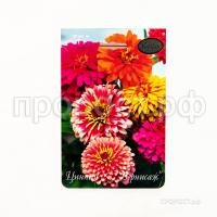 Цинния Вернисаж смесь 201 Каприс