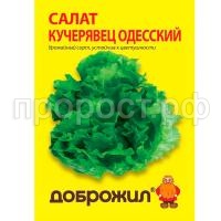 салат кудрявец одесский салат кудрявец одесский