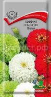 Цинния изящная Италия Цинния изящная Италия