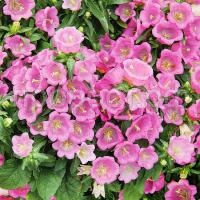 fyfqi5et9t1gzlvpqp34rs4ov6guuy9j