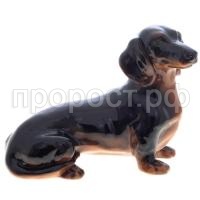 такса такса