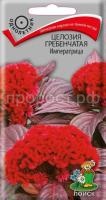 Целозия гребенчатая Императрица Целозия гребенчатая Императрица