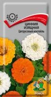 Цинния изящная Цитрусовый коктейль Цинния изящная Цитрусовый коктейль