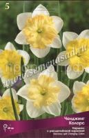 Нарцисс с Расщеплённой коронкой Ченджинг Колорс (5шт, 12-14) 380904