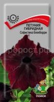 Петуния гибридная Софистика блекберри Петуния гибридная Софистика блекберри