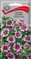 Мальва зебрина Лиловая зебра Мальва зебрина Лиловая зебра