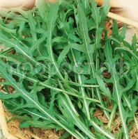 С166700_0 С166700_0