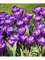 Без названия (10)