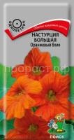 Настурция большая Оранжевый блик Настурция большая Оранжевый блик
