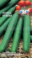 ogurets_agat_f1 ogurets_agat_f1