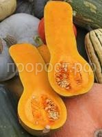 Без названия Без названия