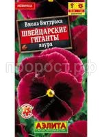 Без названия (3)