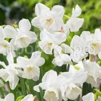 Без названия (3) Без названия (3)