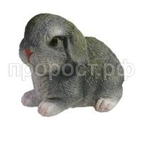 Тошка серый