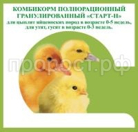 старт цыплята старт цыплята