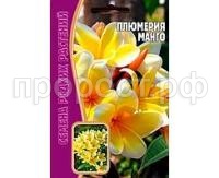 плюмерия манго плюмерия манго