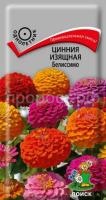 Цинния изящная Белиссимо Цинния изящная Белиссимо