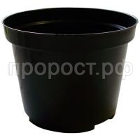 П216791_1 П216791_1