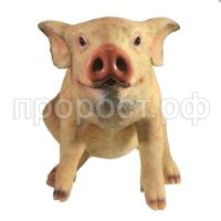 сняпка без пятен