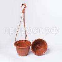 IMG_8855 IMG_8855
