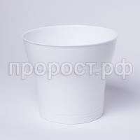 IMG_9427 IMG_9427