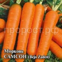 Морковь Самсон 10 г