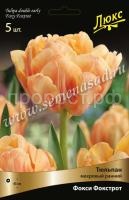 Тюльпан Махровый ранний Фокси Фокстрот (жёлто-оранжевый, 10шт, 11-12) 725014