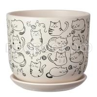 Коты белый бук Коты белый бук