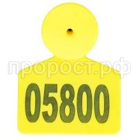 З70489 З70489